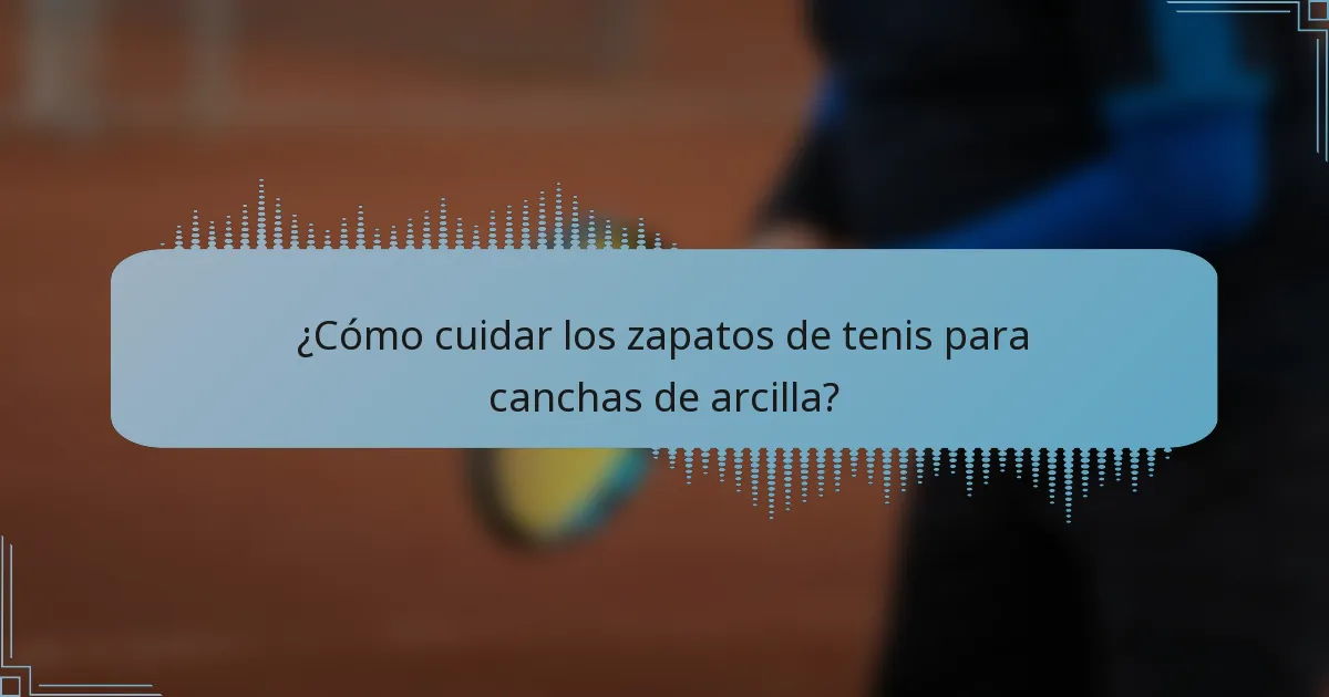 ¿Cómo cuidar los zapatos de tenis para canchas de arcilla?