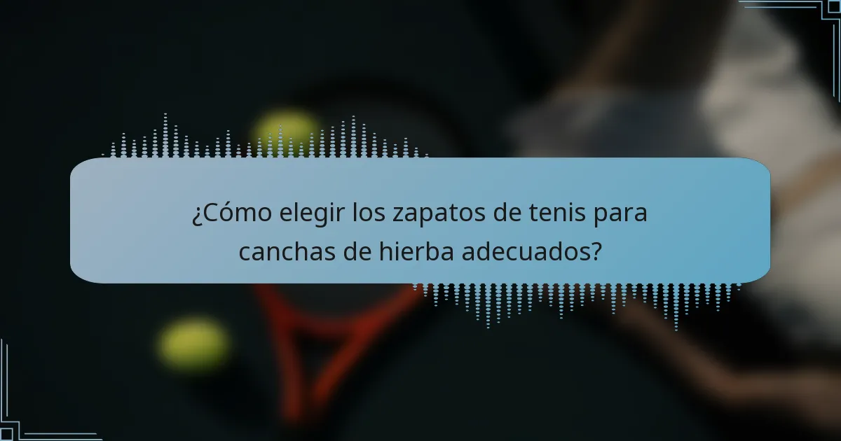 ¿Cómo elegir los zapatos de tenis para canchas de hierba adecuados?