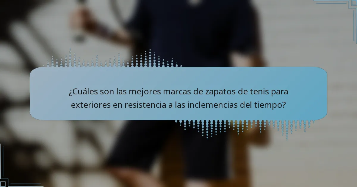 ¿Cuáles son las mejores marcas de zapatos de tenis para exteriores en resistencia a las inclemencias del tiempo?