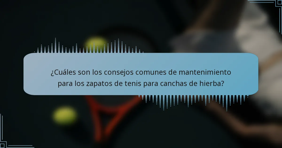 ¿Cuáles son los consejos comunes de mantenimiento para los zapatos de tenis para canchas de hierba?