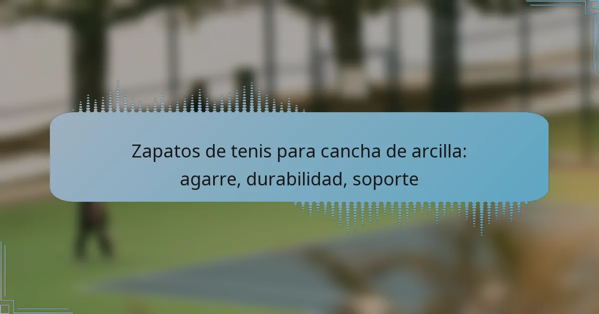 Zapatos de tenis para cancha de arcilla: agarre, durabilidad, soporte