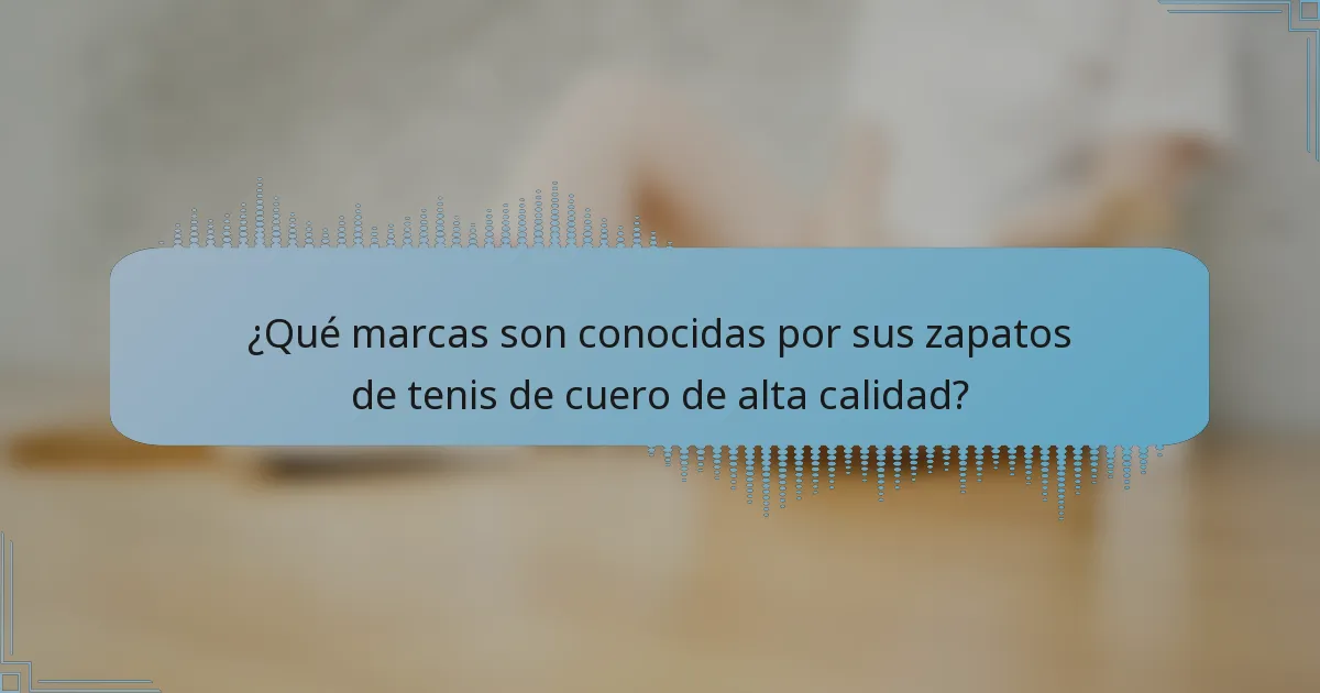 ¿Qué marcas son conocidas por sus zapatos de tenis de cuero de alta calidad?